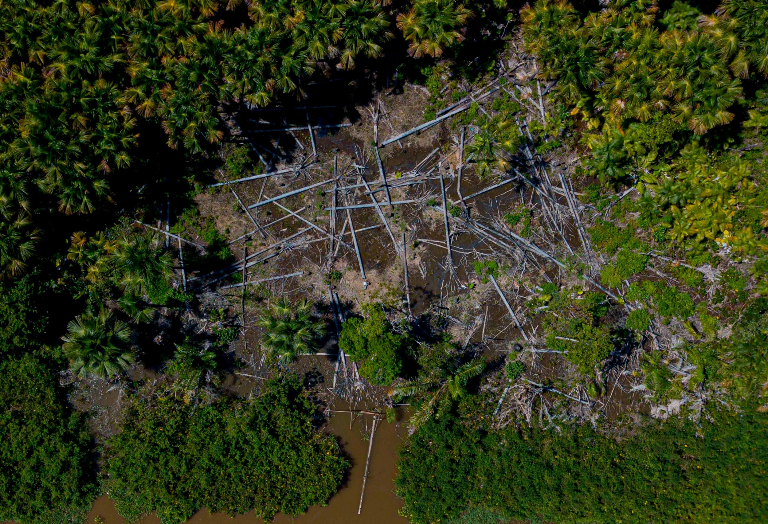 Deforestation in the Brazilian Amazon at a 12-year high last year