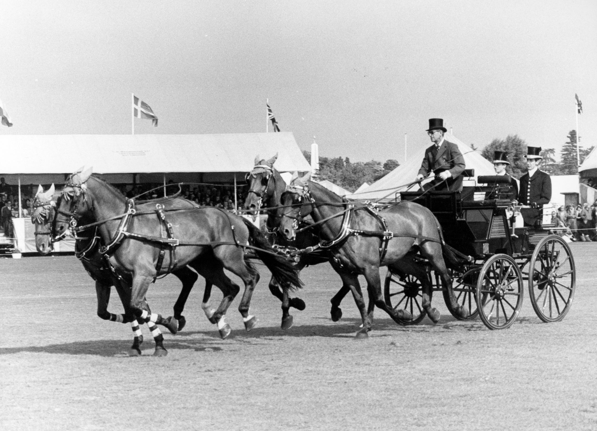 Prince Philip driving a team of horses owned by the Queen in the main ring at Windsor Great Park during the 1980 World Carriage Driving Championships
