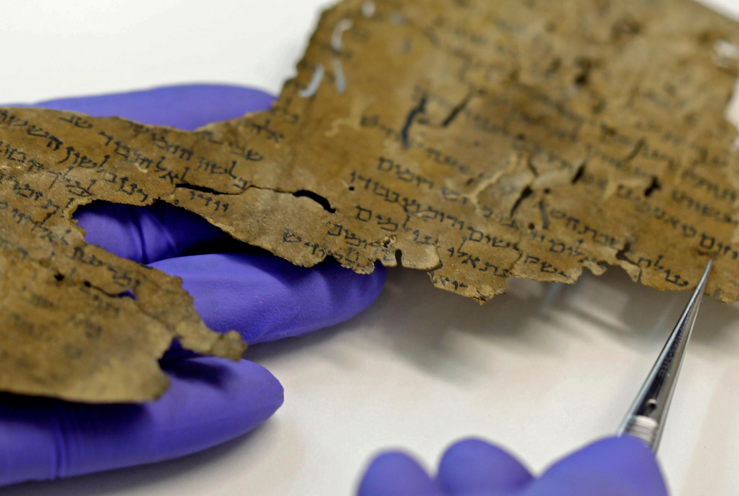 <p>The Dead Sea Scrolls contain the oldest Bible texts ever found</p>
