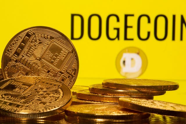 <p>Price rally saw dogecoin rise more than 30,000% between May 2020 and May 2021</p>