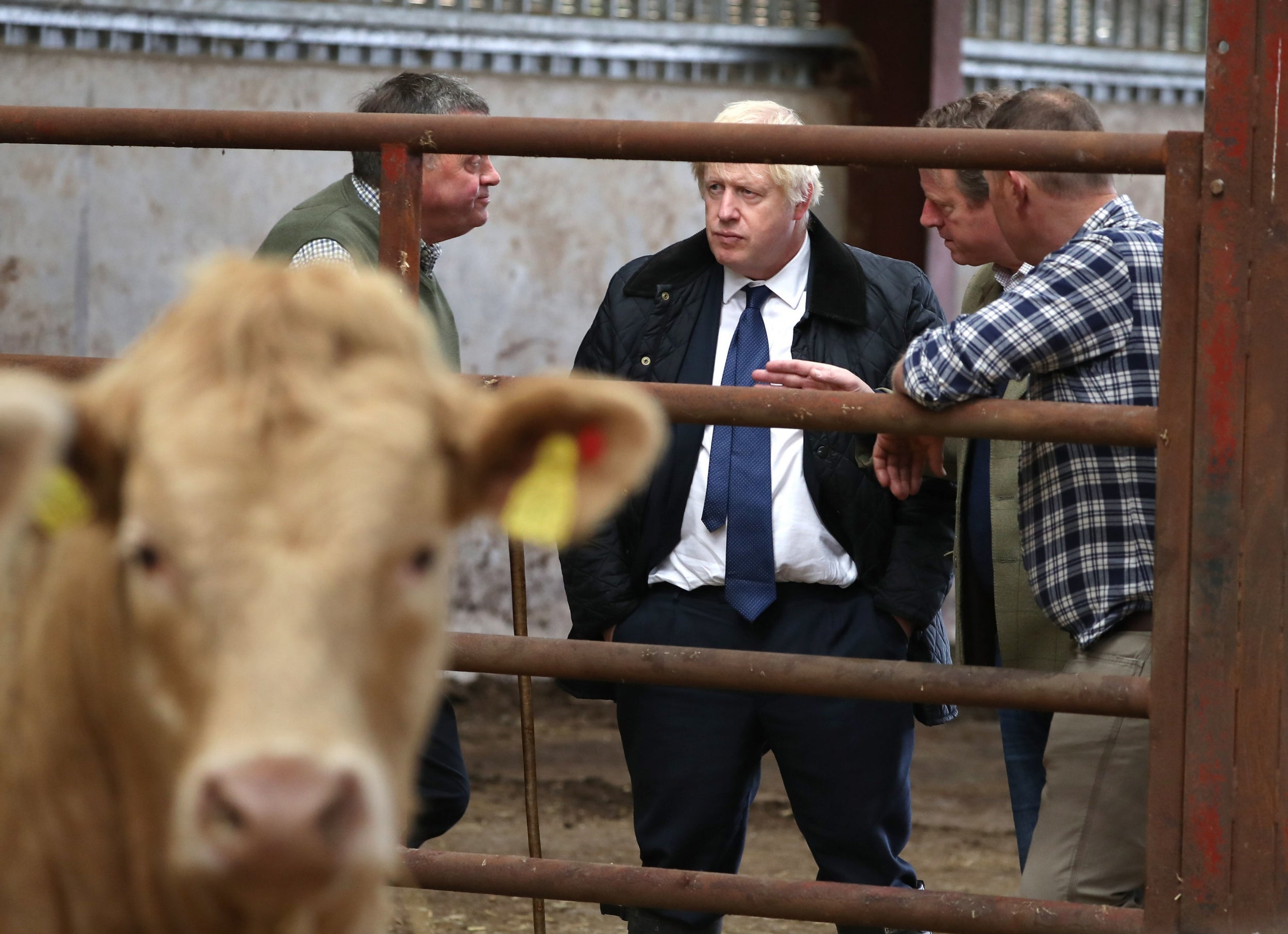 Boris Johnson had promised good deal for farmers after Brexit