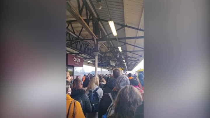 Dozens of people queue for trains in London amid tube strike