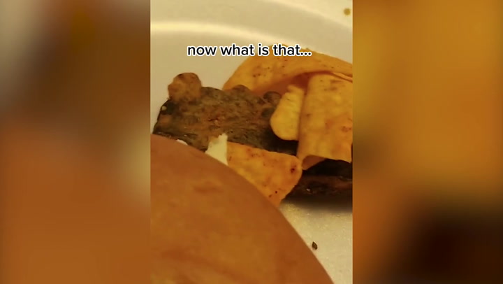 TikTok user left haunted by Dorito chip in the shape of a dead rat