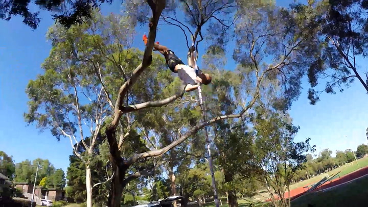 Pole vaulter practices skills by leaping over tree