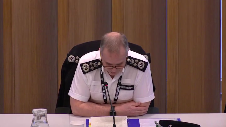 Deputy Metropolitan Police commissioner demands review of Cressida Dick's ousting