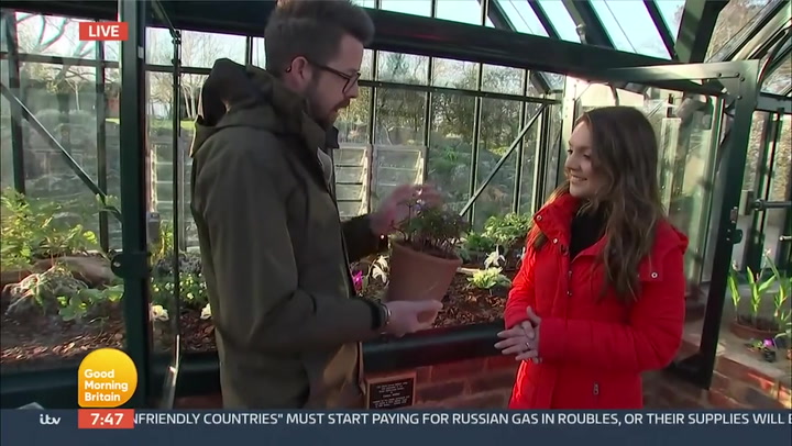Good Morning Britain’s Laura Tobin gets pranked on April Fool’s Day