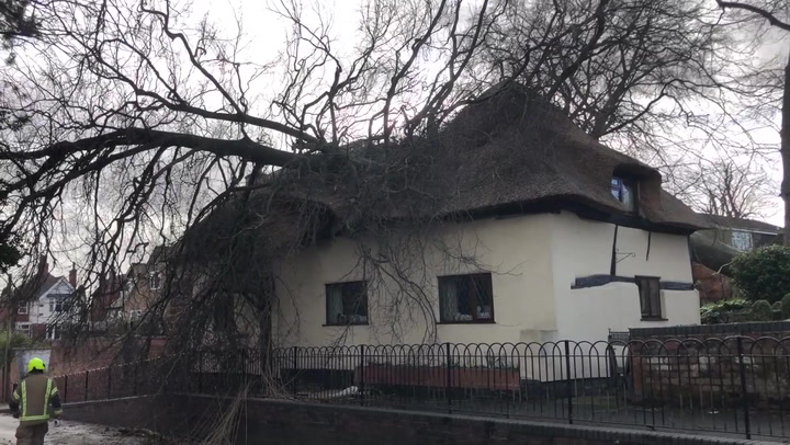 Storm Franklin: Tree falls on to house in Leicestershire