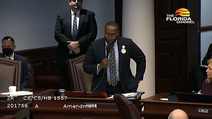 LGBTQ+ Florida senator makes tearful plea against 'Don't Say Gay' bill
