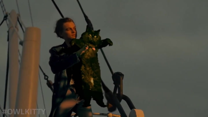 Kate Winslet replaced by cat in ‘Titanic’ parody video
